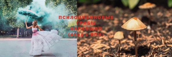 PSILOCYBIN Вязники